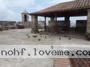 colombian-women-city-tour-31